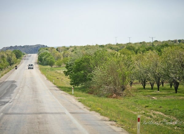 yol üzeri yeşillik