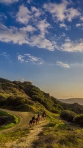 Sony Xperia Z HD Duvar kağıtları