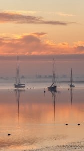 Sony Xperia Z1 HD Duvar kağıtları