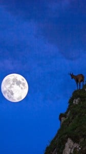 mükemmel ay 1080x1920