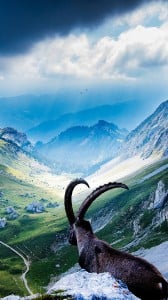 pilatus dağı 1080x1920