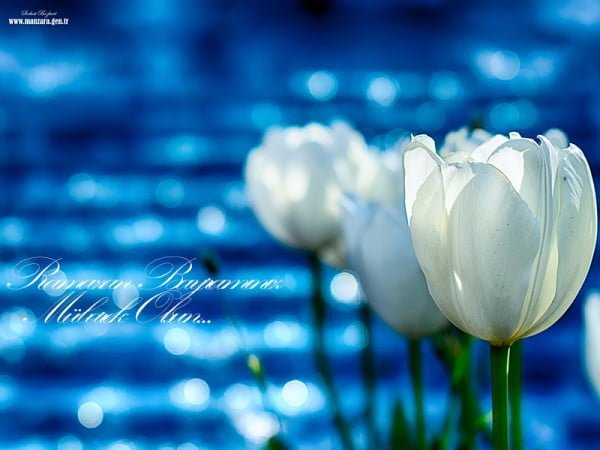 resimli ramazan bayramı mesajı