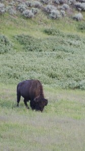 HTC One Max HD Duvar kağıtları