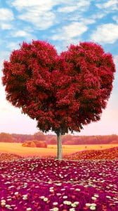 sevgi ağacı 1080x1920