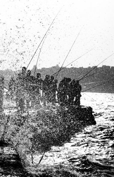 siyah beyaz balıkçılar