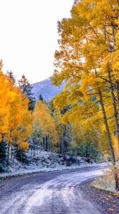 sonbahar ve kışlar 1080x1920