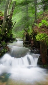 soğuk sulu dere 1080x1920