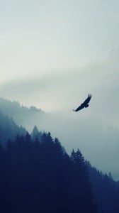 süper kartal 1080x1920