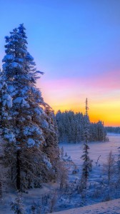 süper kış 1080x1920