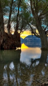 su ile ağaç 1080x1920