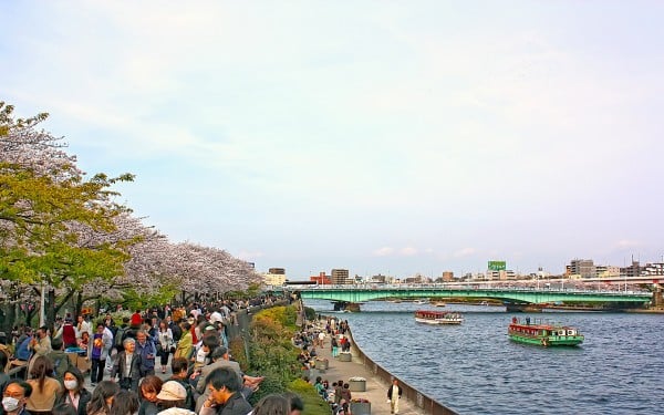 tokyo sumida nehri