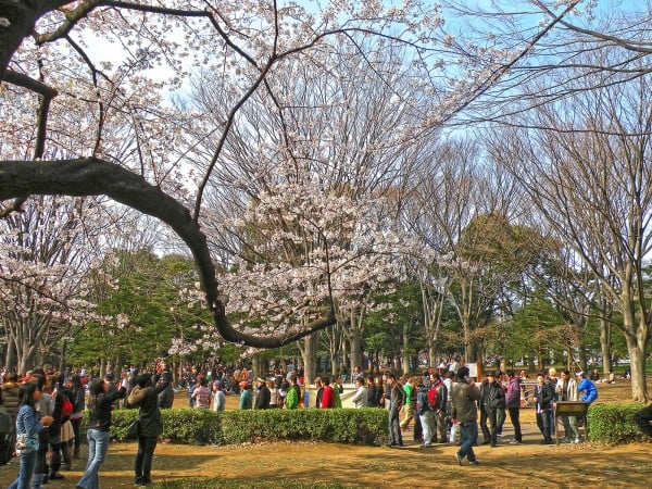 tokyo yoyogi park