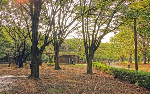 yoyogi park insanlar