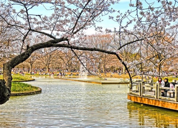 tokyo park oturma yerleri