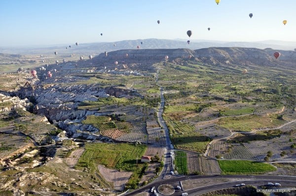 toplu halde balonlar