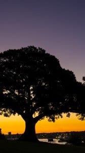 turuncu gün batımı 1080x1920