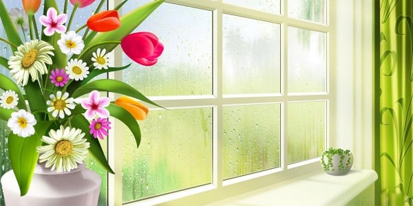 Çiçekli Pencere Twitter Başlık Resmi