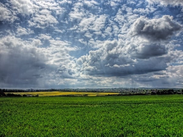 winchester bulutlar ve otlar