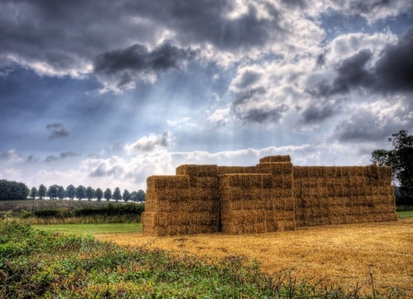 winchester saman yığını