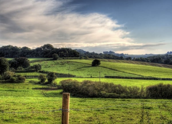 winchester yeşil arazi