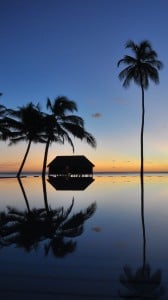 HTC Butterfly Manzaraları