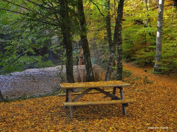 yedigöller muhteşem bank manzarası