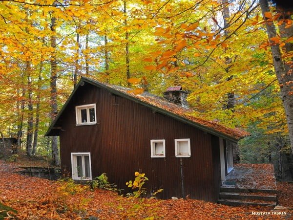 yedigöller tahta ev