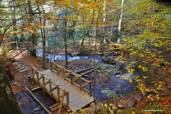 yedigöller tahta köprü