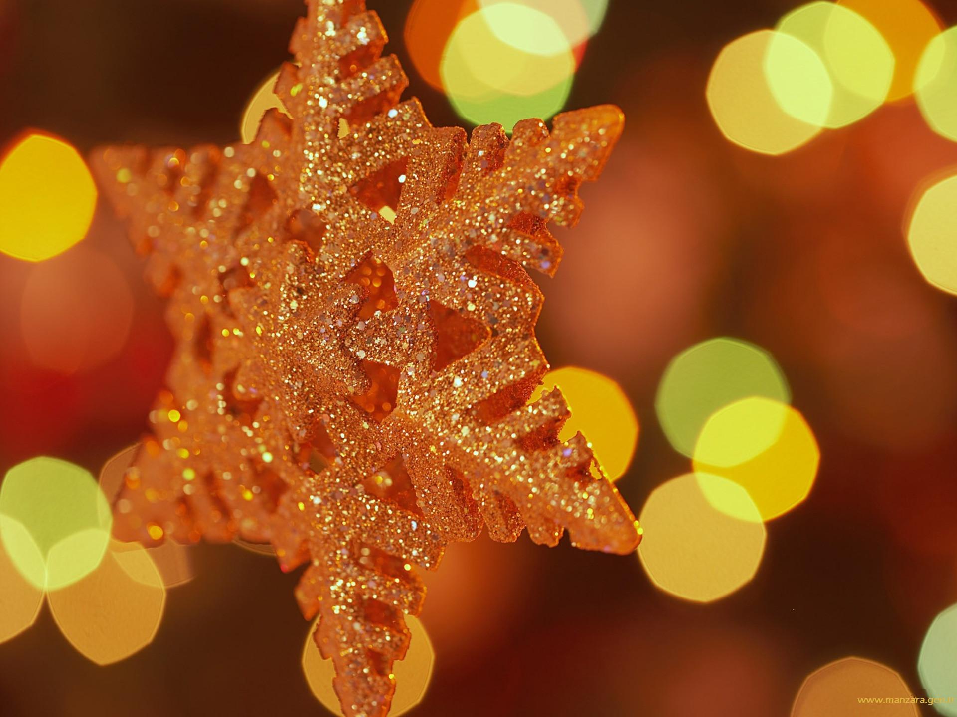 Рождественская звезда картинка.