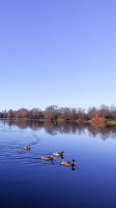 Sony Xperia Z Ultra Manzaraları