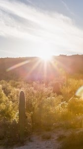 Çöl Manzarası 1080x1920