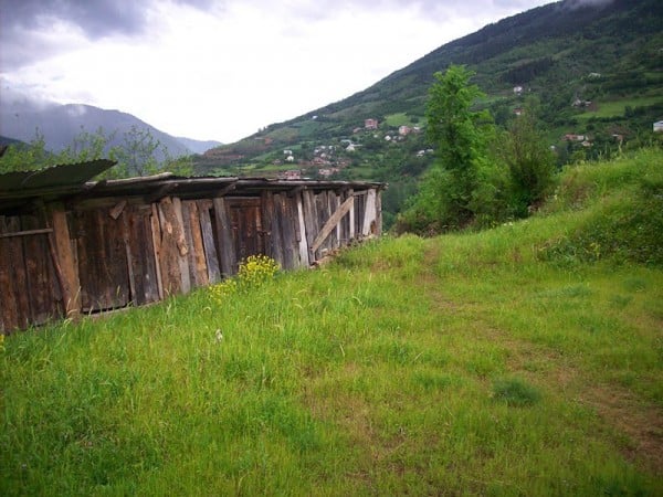 özkürtün - araköy köyü