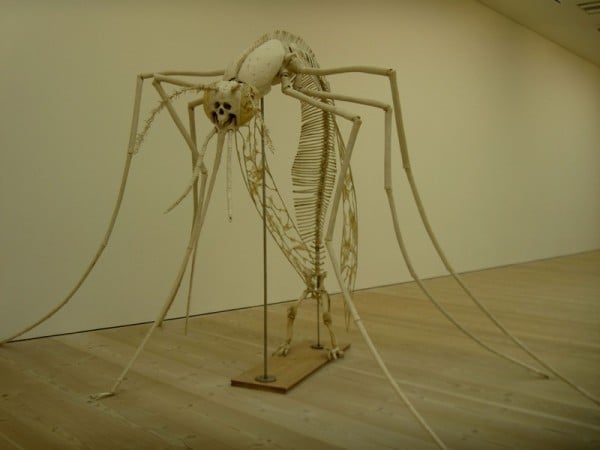 İlginç resimler / iskelet