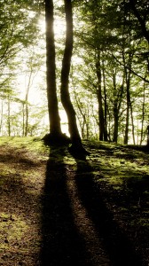 Sony Xperia Z1 HD Duvar kağıtları