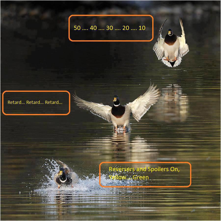 3441_426338670755667_381000070_n-1348740371