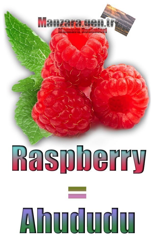 Ahududu İngilizcesi (Raspberry)