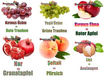 Almanca Meyve İsimleri