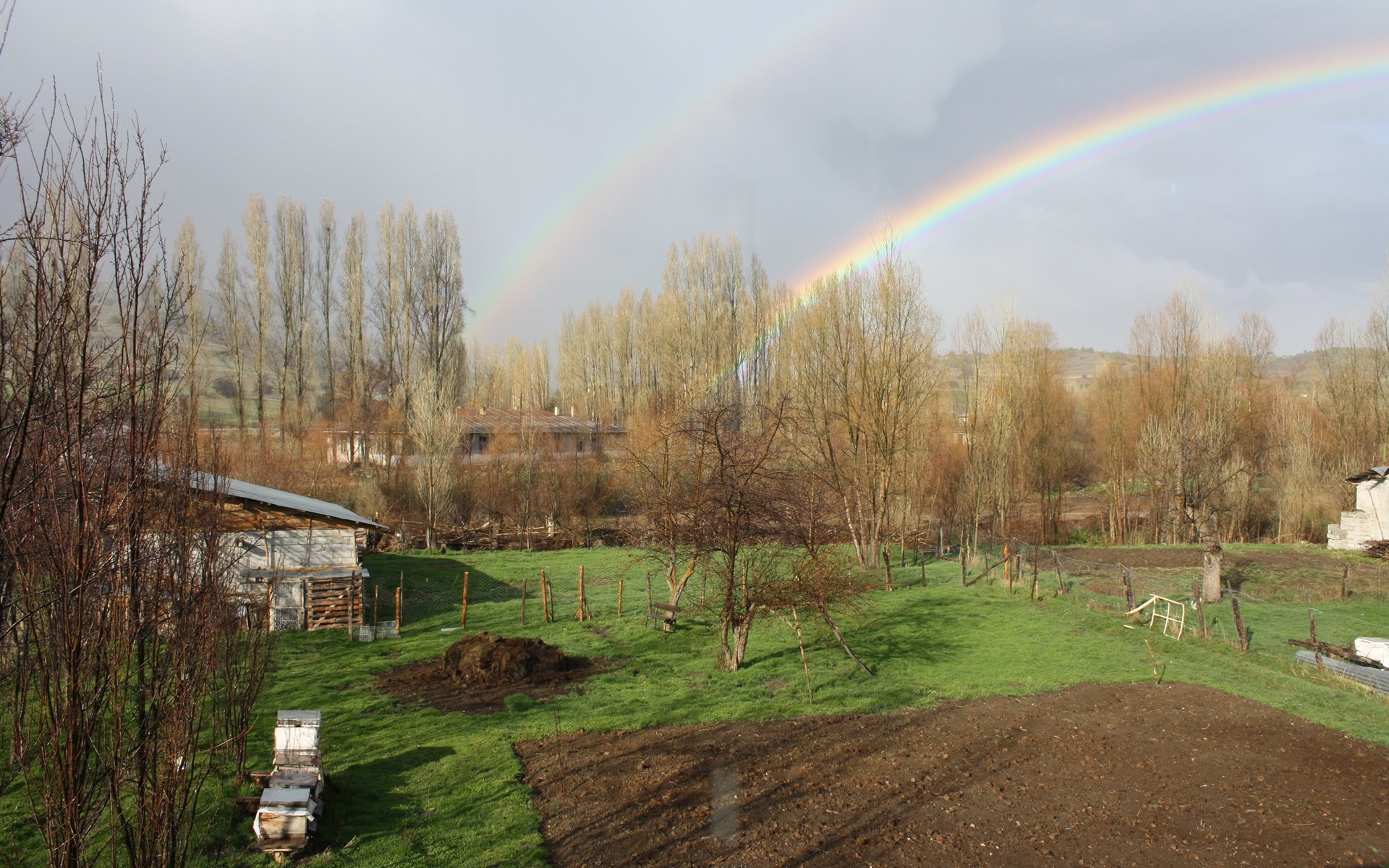Altköy - Refahiye - Erzincan