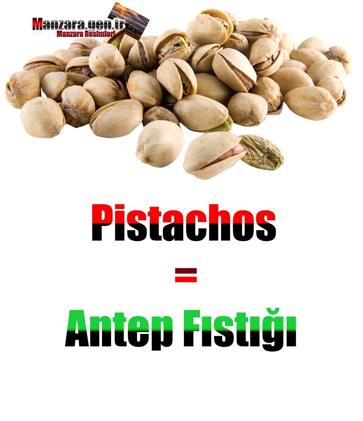 Antep Fıstığı İspanyolcası(Pistachos)