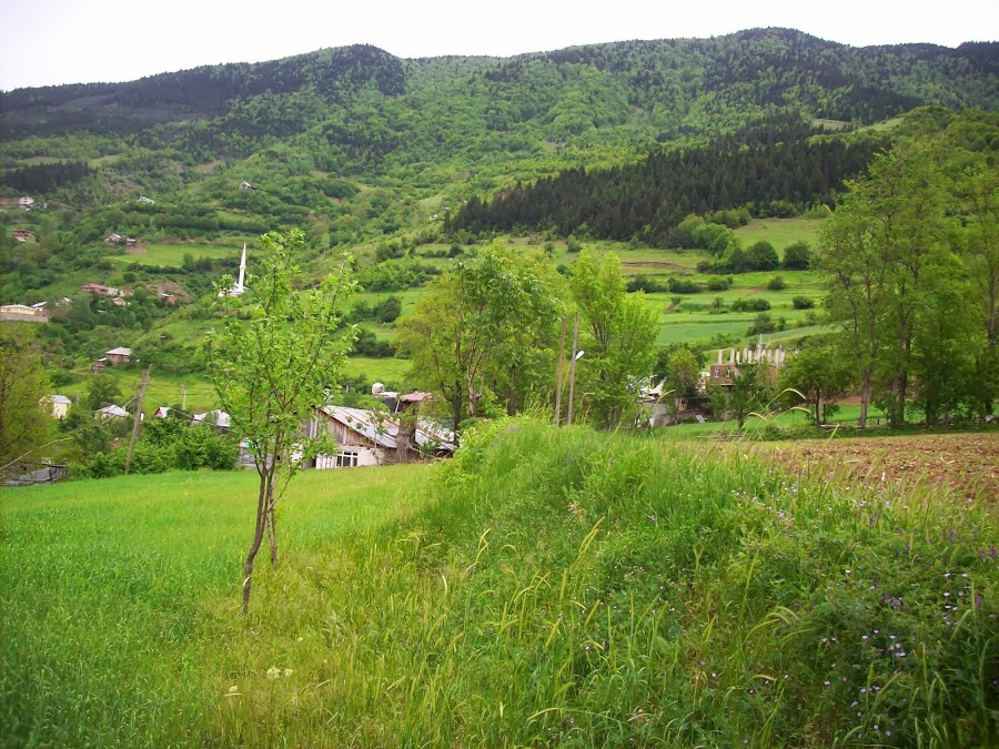 Araköy - Gümüşhane yeşillik