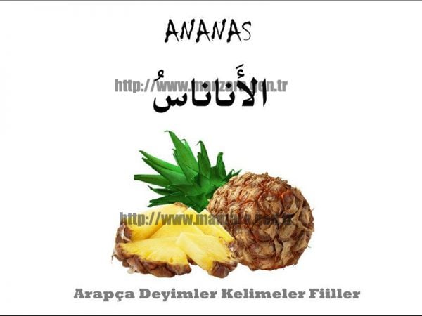 Arapça ananas yazısı ve resmi