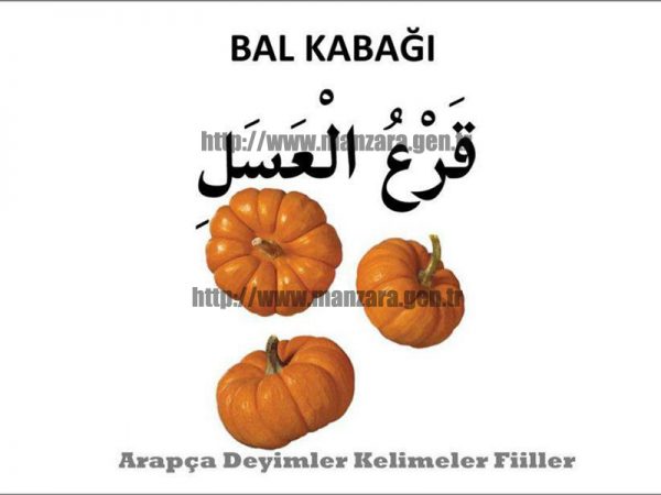 Arapça balkabağı yazısı ve resmi