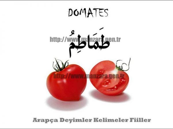 Arapça domates yazısı ve resmi