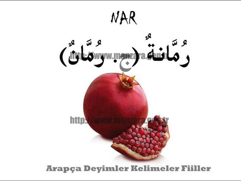 Arapça meyve isimleri