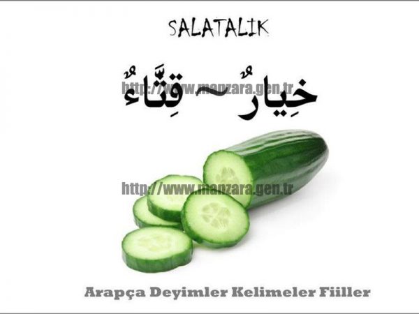 Arapça salatalık yazısı ve resmi