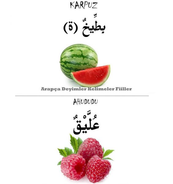 Arapça meyve isimleri ve resimleri