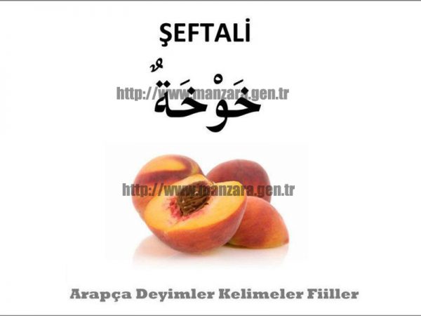 Arapça Şeftali
