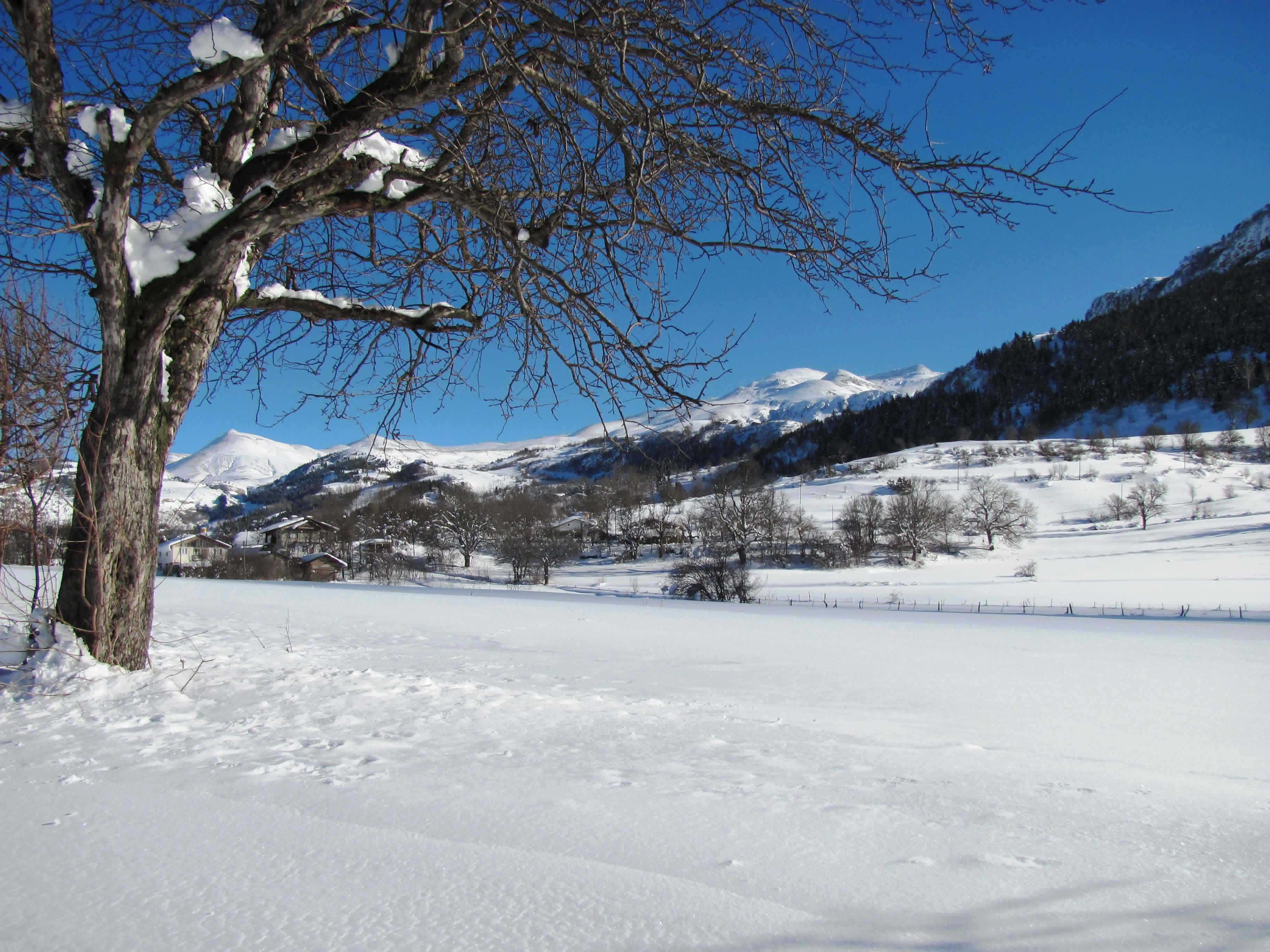 Artvin - Ardanuç - Aşağı Irmaklar köyü