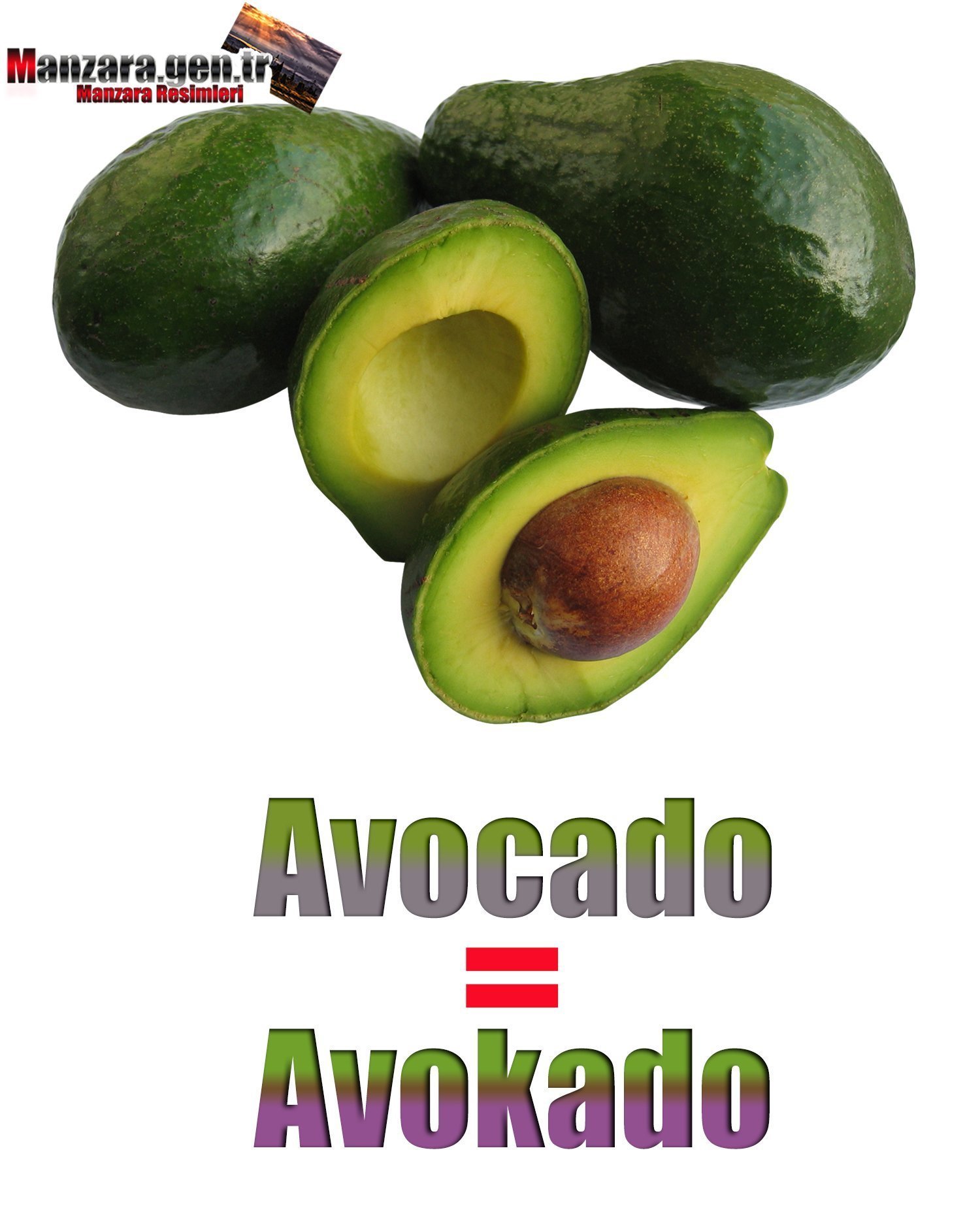 Avokadonun İngilizcesi (Avocado)