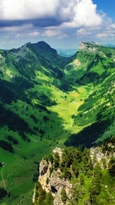 Bernese Alpleri iPhone 6 Plus